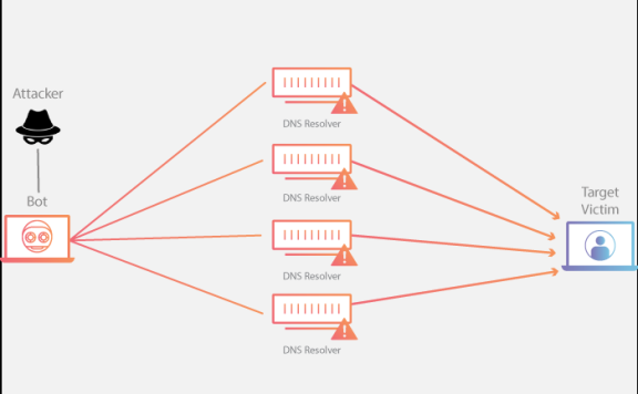 DNS 放大攻击